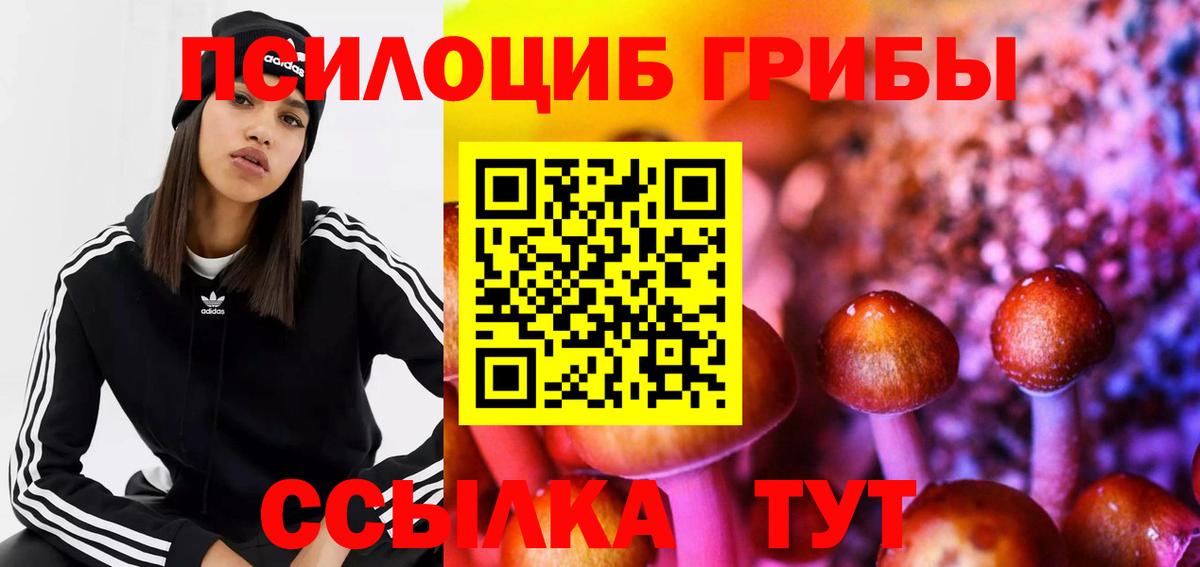 Шатура  Галлюциногенные грибы прущие грибы  Вход с VPN 